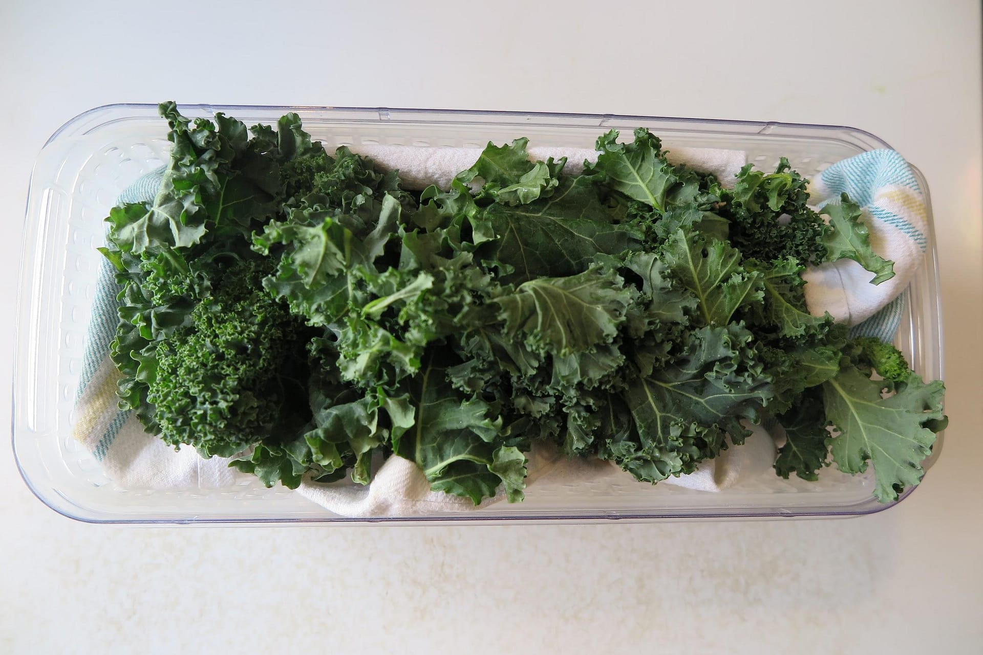 kale in greens container
