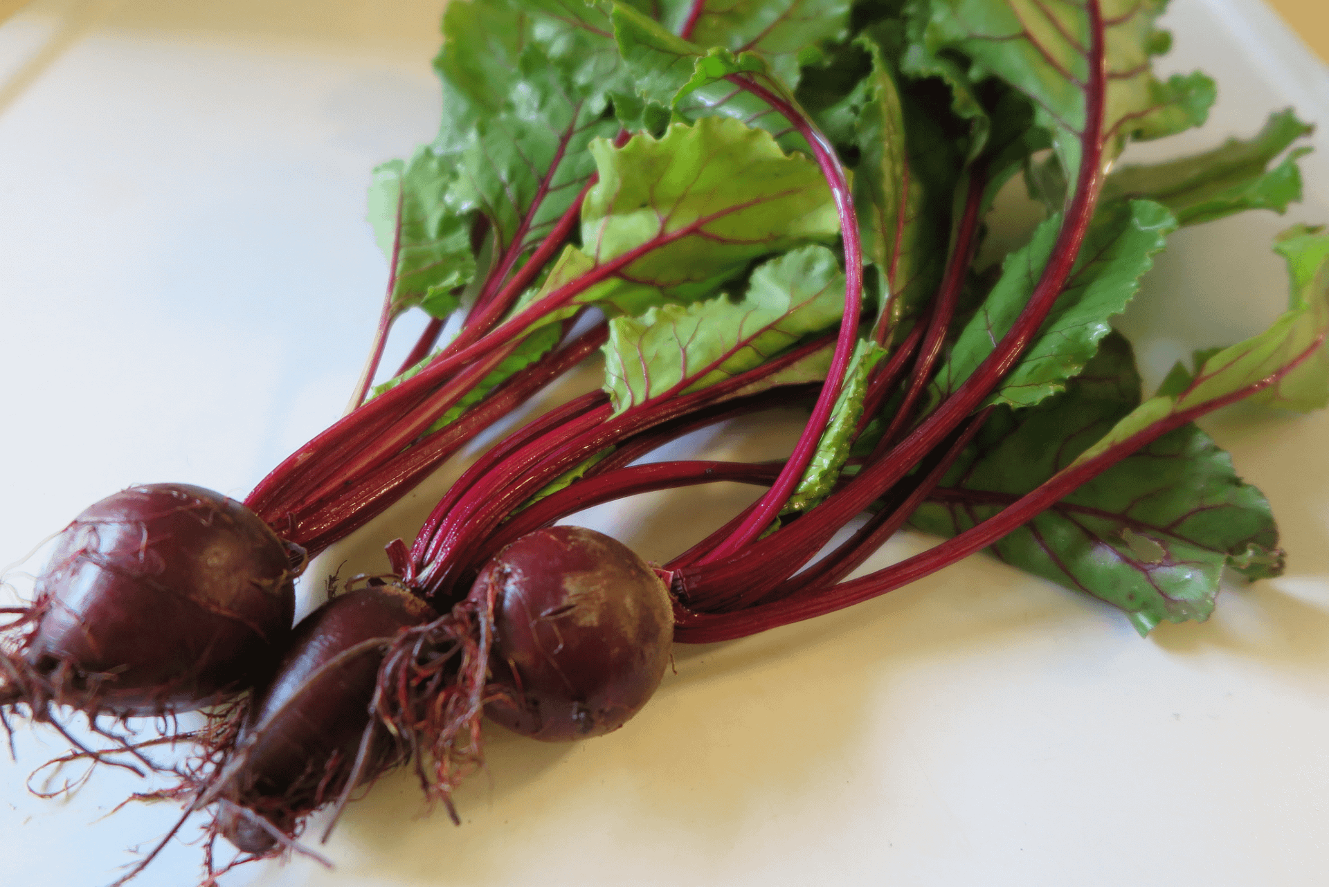 Bundle red of beets on white background