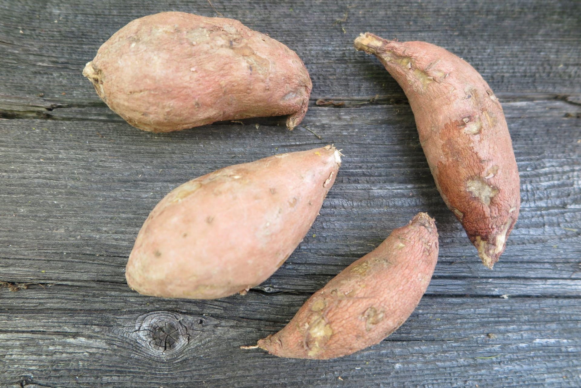 Four old sweet potatoes on a wood background