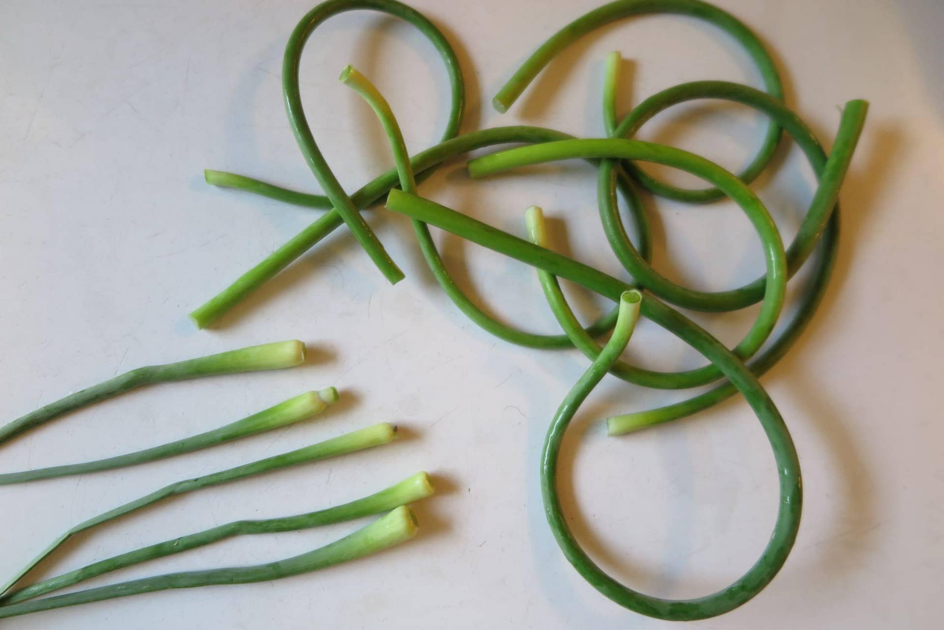 Garlic scapes with the flower removed and placed to the left of the scapes