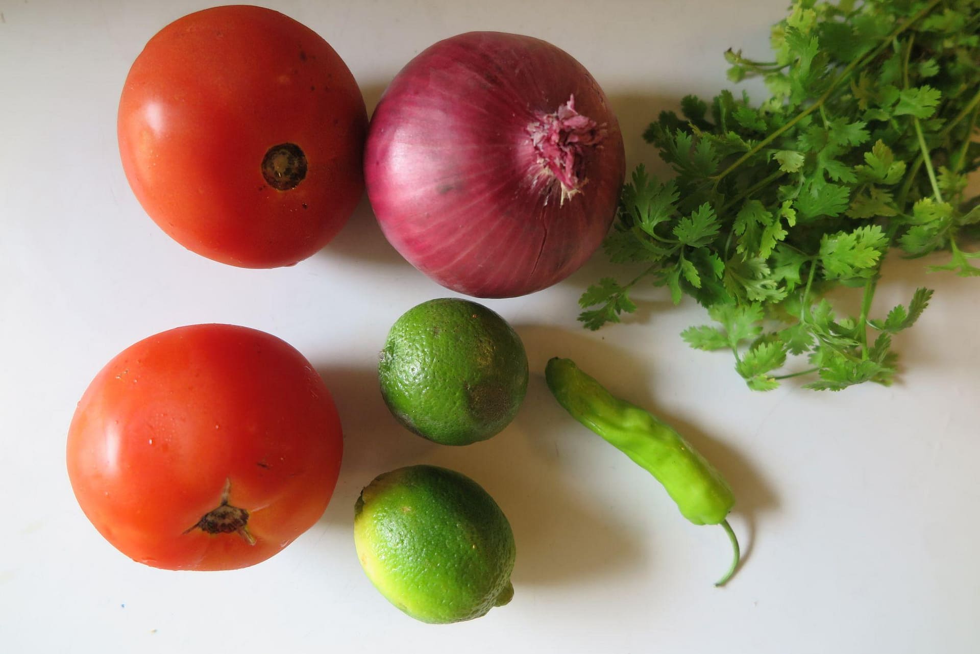 Tomatoes, red onion, limes, cilantro, and a jalapeno on a white background