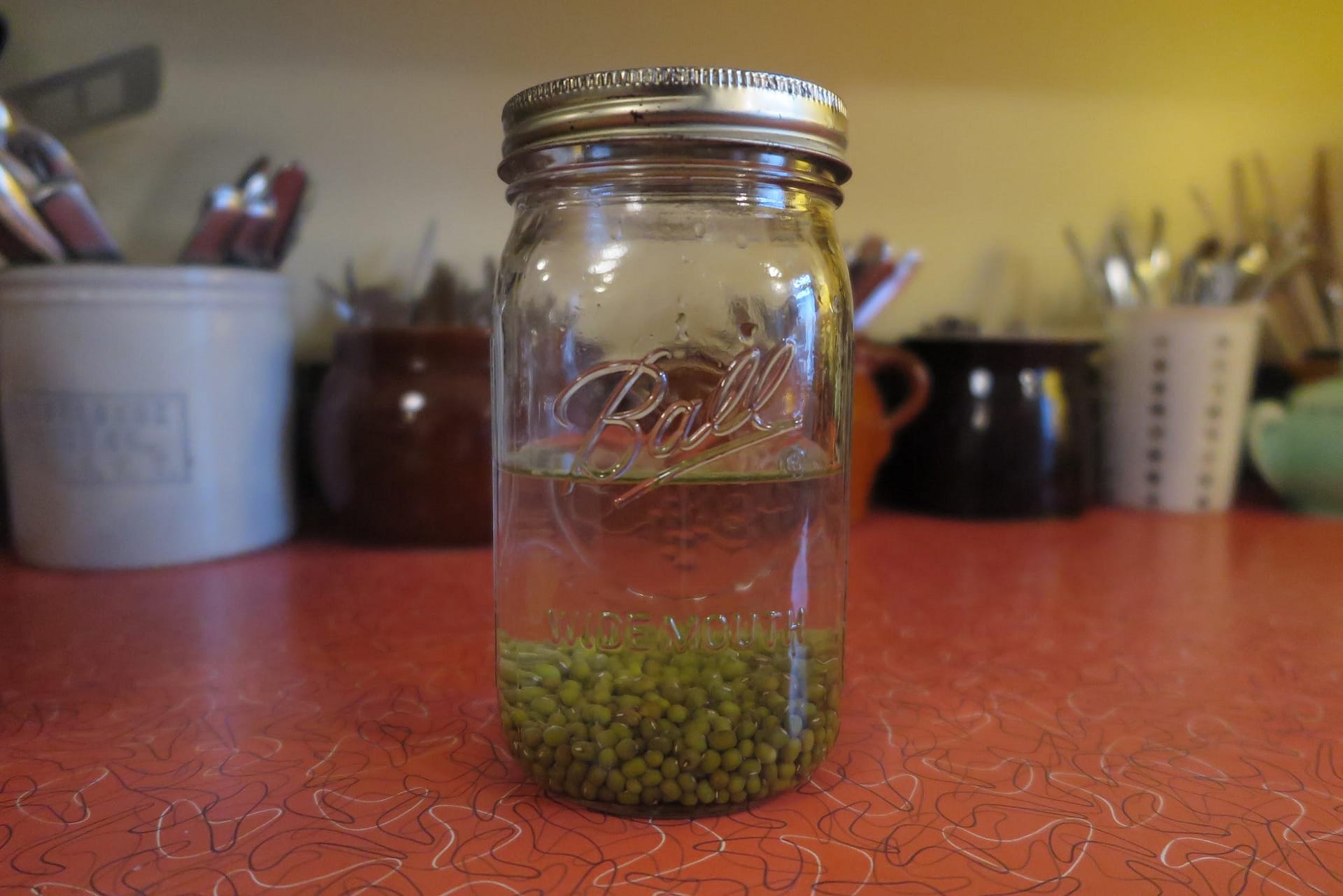 A mason jar filled a quarter of the way with dried mung beans and halfway with water