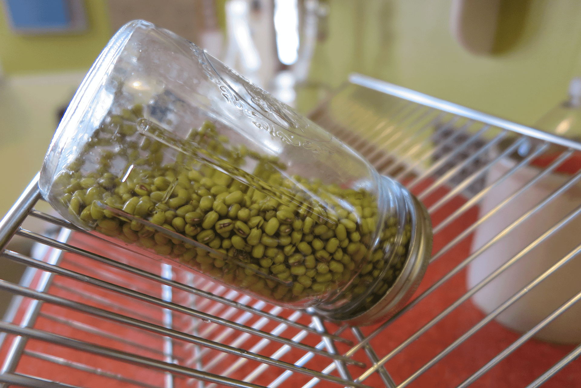 Mason jar of mug beans tilted upside down on a dish drying rack